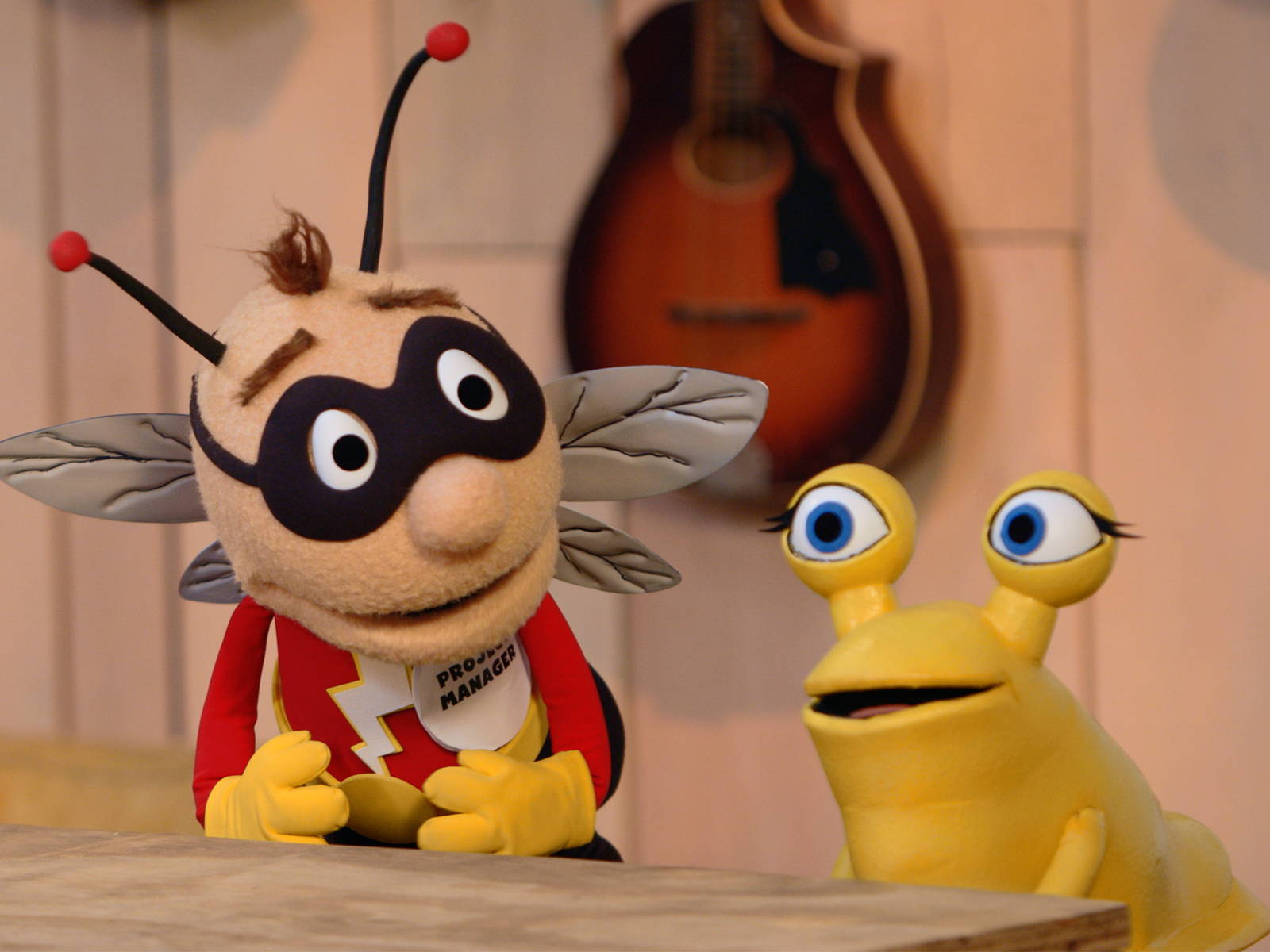 The Slugs & Bugs Show Slugs and Bugs